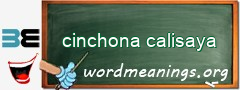 WordMeaning blackboard for cinchona calisaya